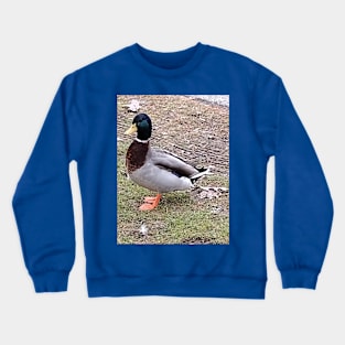 farm duck green Crewneck Sweatshirt